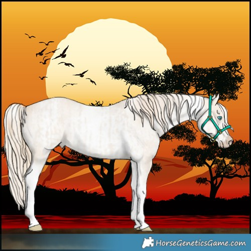 Horse Color:Smoky Creme Dun Tobiano Rabicano  and White Spotted Perlino Rabicano 