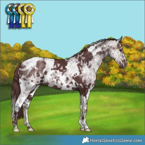 Horse Color:White Spotted Chocolate Smoky Black Chinchilla Ice 