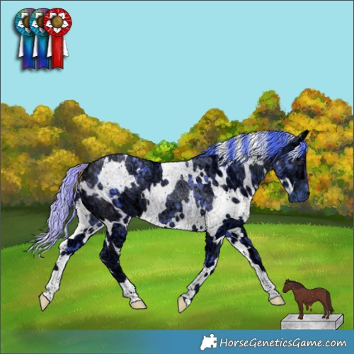 Horse Color:Watercolor White Spotted Chocolate Smoky Black Chinchilla Ice