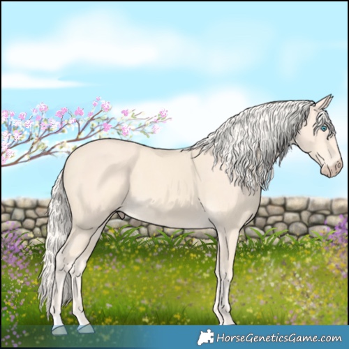 Horse Color:Cremello 