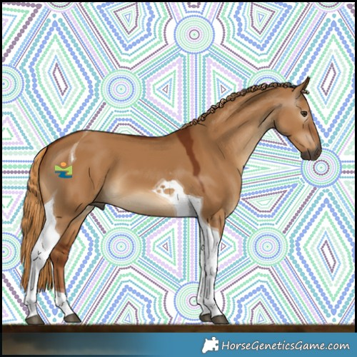 Horse Color:Gray Red Dun Tobiano 