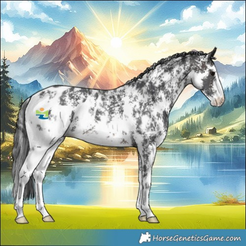 Horse Color:Brown Sabino Near Leopard