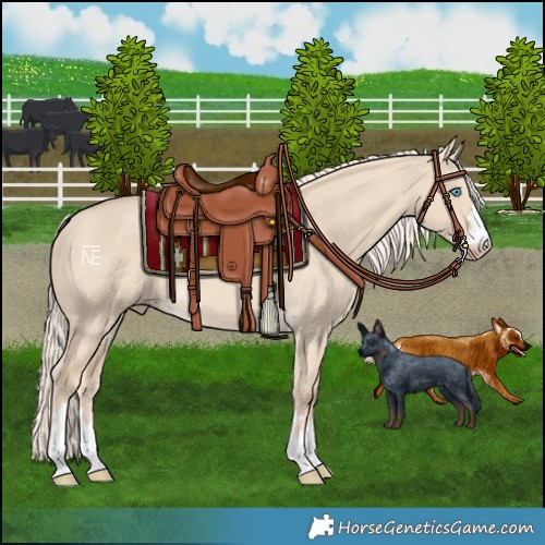Horse Color:Cremello Dun 