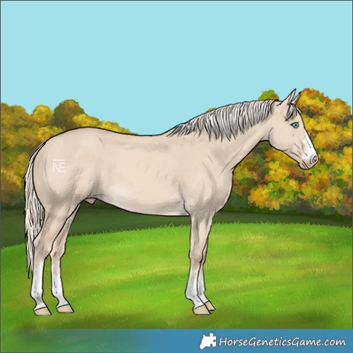 Horse Color:Cremello Dun 
