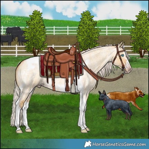Horse Color:Gray Silver Amber Cream Champagne Roan Dun Splash Tobiano Frame Varnish Rabicano 