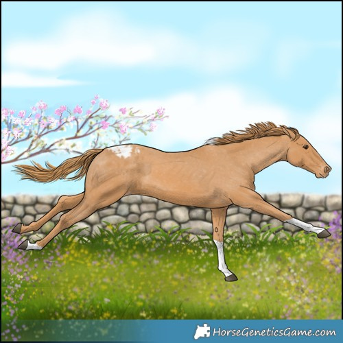 Horse Color:Chestnut Tobiano Varnish 