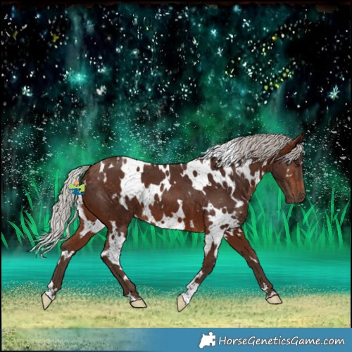 Horse Color:White Spotted Silver Brown 