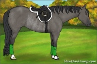 Horse Color:Grullo Rabicano 