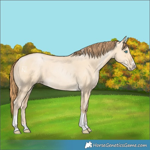 Horse Color:Buckskin Pearl Dun Splash Tobiano