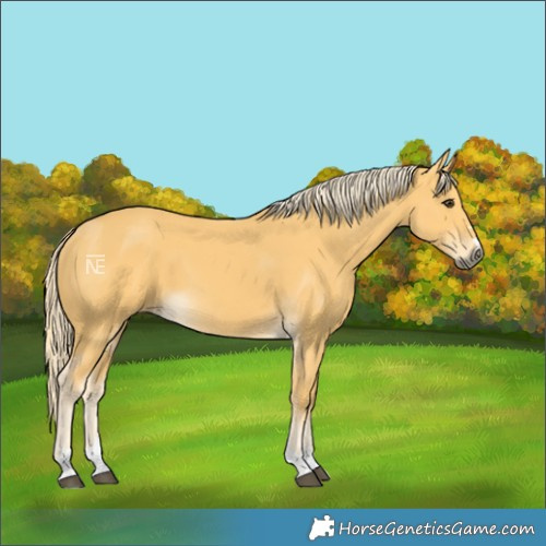 Horse Color:Palomino