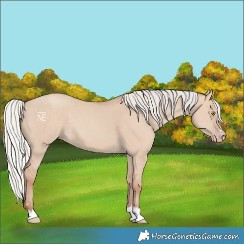 Horse Color:Silver Classic Champagne Dun 