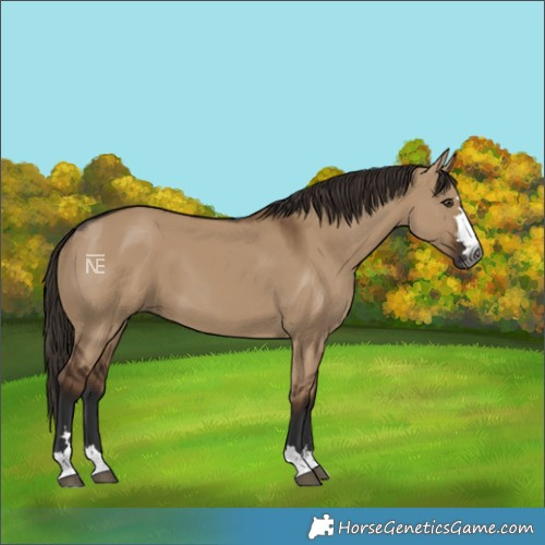 Horse Color:Gray Liver Red Dun 