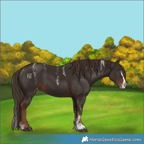 Horse Color:Powder White Liver Chestnut Splash Varnish
