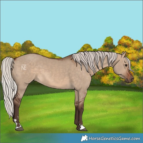 Horse Color:Silver Brown Dun