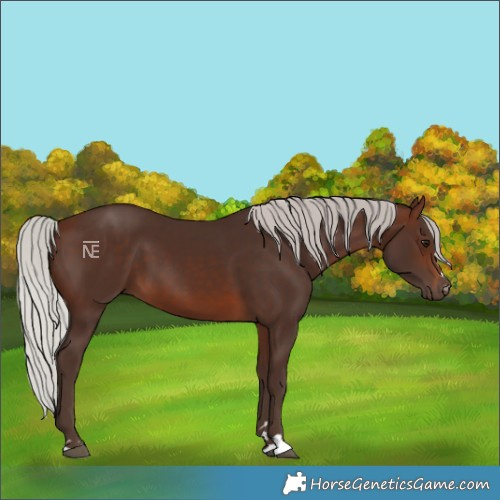 Horse Color:Silver Brown