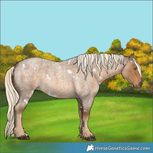 Horse Color:White Spotted Chocolate Palomino Roan 