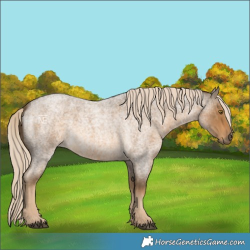 Horse Color:Chocolate Palomino Roan 