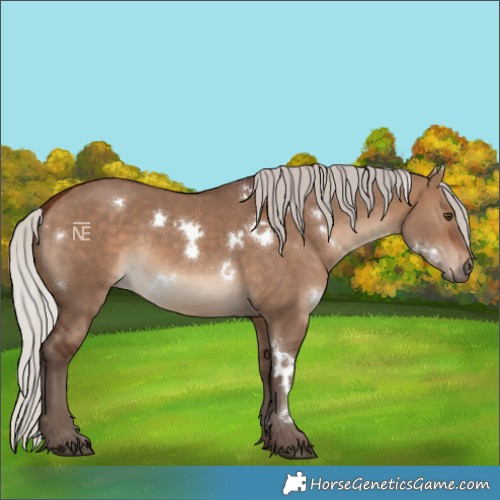 Horse Color:White Spotted Silver Brown Dun 
