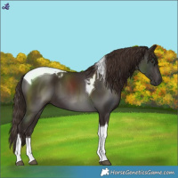 Horse Color:Liver Chestnut Tobiano 