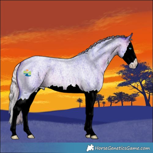 Horse Color:Watercolor Silver Brown Roan Sabino Splash
