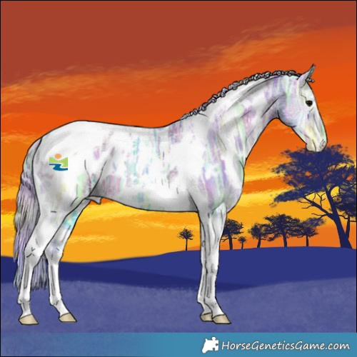 Horse Color:Nacre Watercolor White Spotted Silver Grullo Ice Onyx Tobiano Blanket