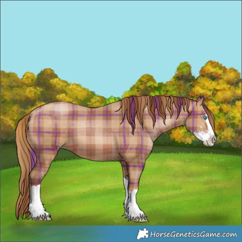 Horse Color:Plaid  Brown Pearl Sabino Splash 