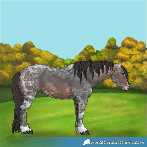 Horse Color:Brown Ice