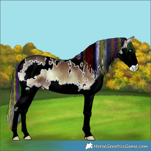 Horse Color:Painted White Spotted Liver Red Onyx Sabino Splash Brindle 