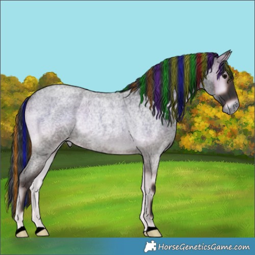 Horse Color:Painted Blue Onyx Roan Rabicano 