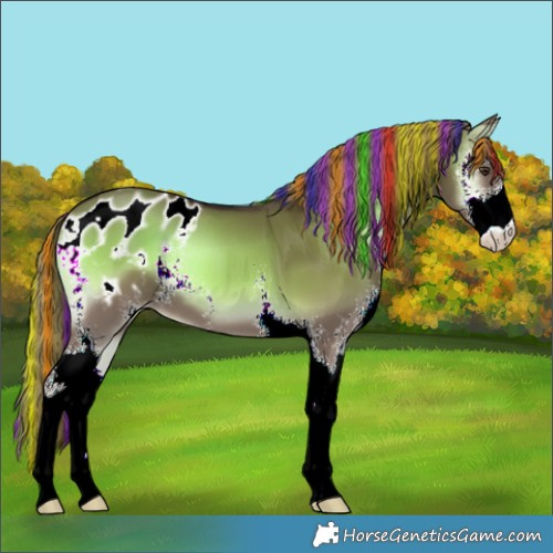 Horse Color:Painted Liver Red Dun Onyx Sabino Varnish 