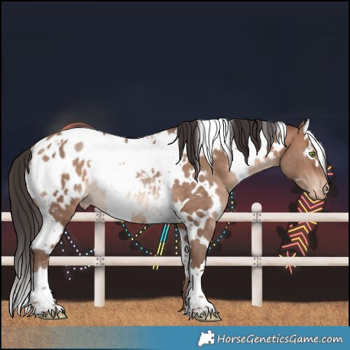 Horse Color:White Spotted Sable Champagne Blanket Rabicano 