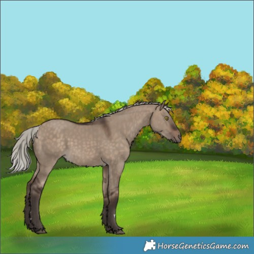 Horse Color:Silver Brown Dun