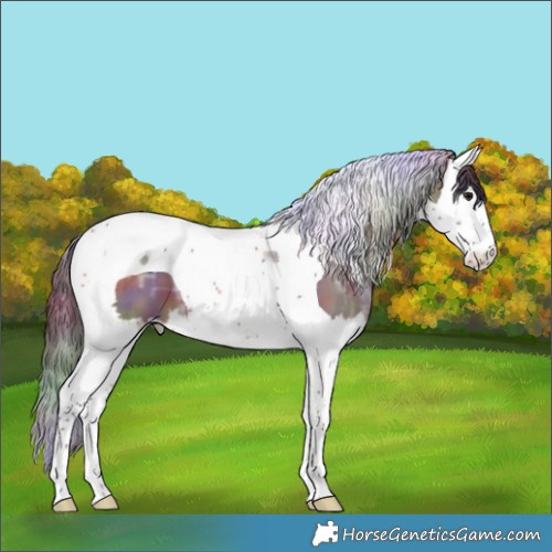 Horse Color:Nacre Bay Ice Splash Tobiano 