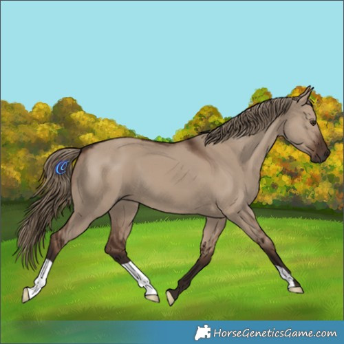 Horse Color:Liver Red Dun 