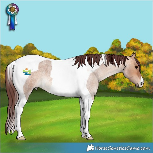Horse Color:Chocolate Bay Roan Dun Tobiano