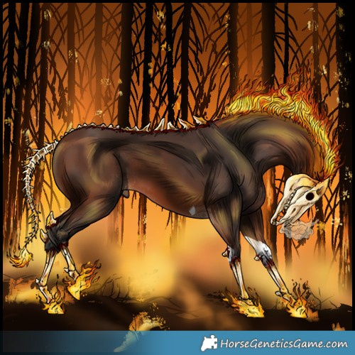 Horse Color:Brown Tobiano Rabicano 