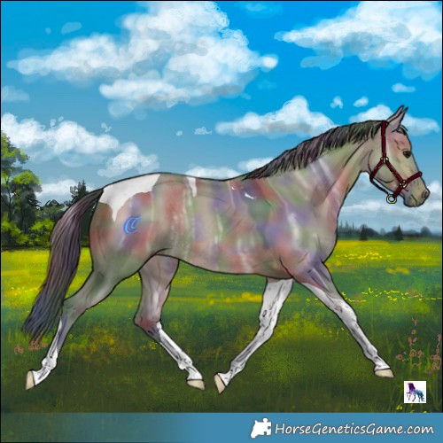 Horse Color:Nacre Bay Ice Dun Tobiano Rabicano 