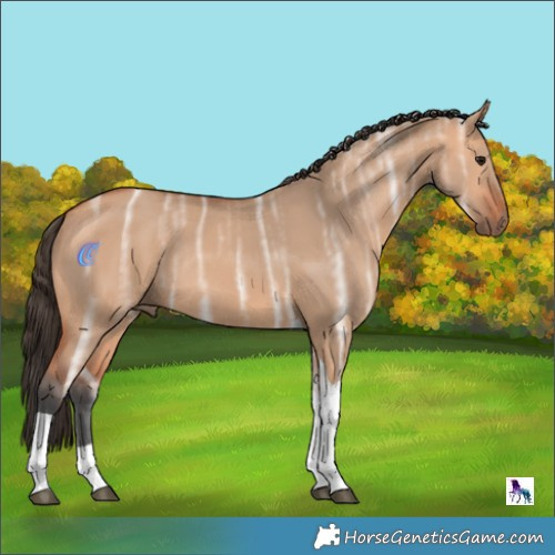 Horse Color:Bay Ice Dun Tobiano Rabicano 