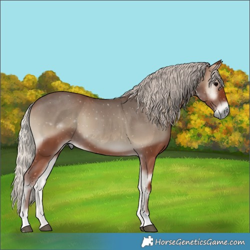 Horse Color:Silver Blue Onyx 