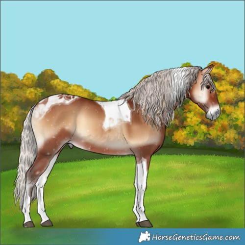 Horse Color:Silver Brown Onyx Tobiano 