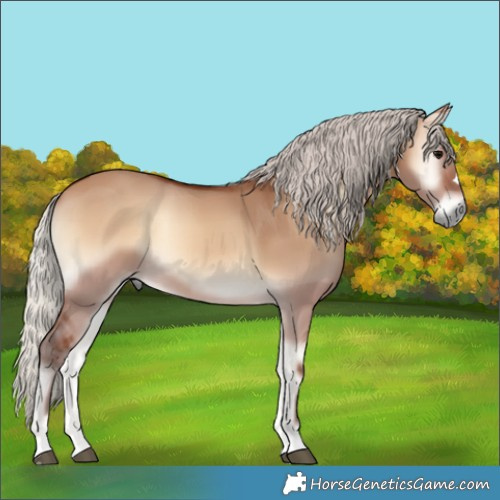 Horse Color:Silver Brown Onyx 
