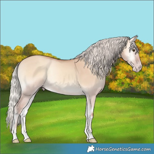 Horse Color:Silver Sable Champagne Onyx 