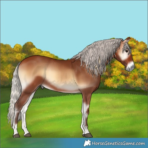 Horse Color:Silver Brown Onyx 