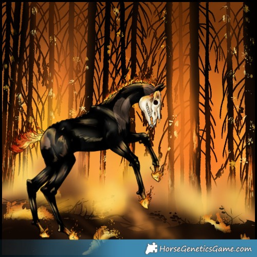 Horse Color:Void Liver Red Dun Splash Tobiano