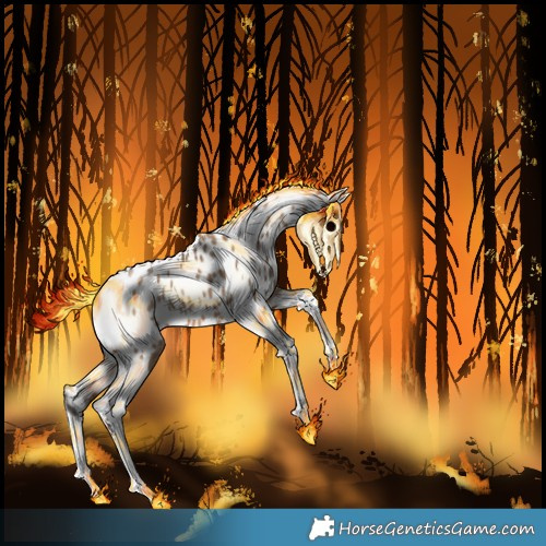 Horse Color:Bay Dun Tobiano Near Leopard 