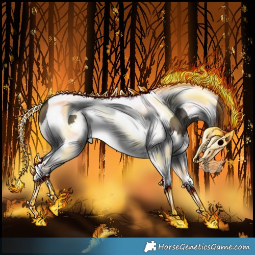 Horse Color:Grullo Splash Tobiano 