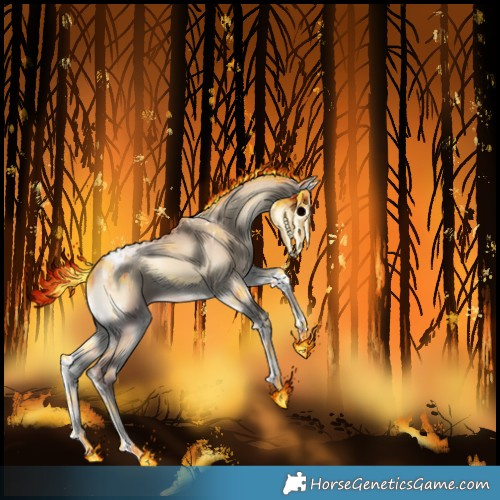 Horse Color:Classic Champagne Onyx Tobiano Rabicano