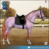 Horse Color:Watercolor Liver Red Dun 