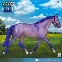 Horse Color:Watercolor Liver Red Dun 