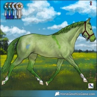 Horse Color:Watercolor Liver Red Dun 